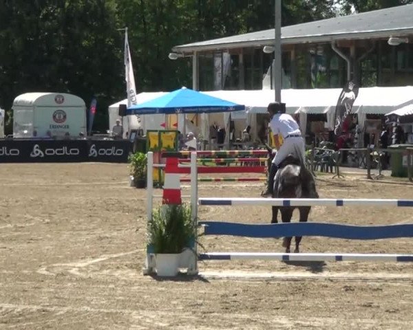 60. Lobbericher Reitsportfestival 01.-04.08.2013
