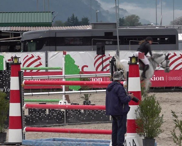 Reitturnier Giubiasco 2024