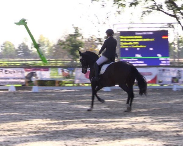 Reitturnier Ruhlsdorf 2024