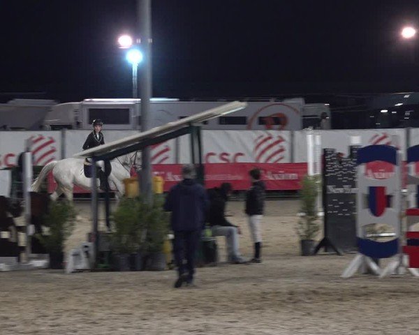 Reitturnier Giubiasco 2024