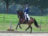 dressage horse Louis d'or 46 (Westphalian, 2020)