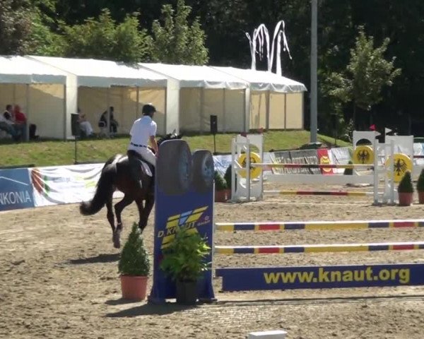 60. Lobbericher Reitsportfestival 01.-04.08.2013