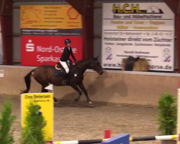 Reitturnier Behrendorf 2024