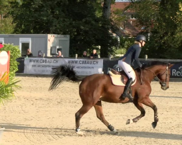 Pferdesporttage Neuendorf SO 2021