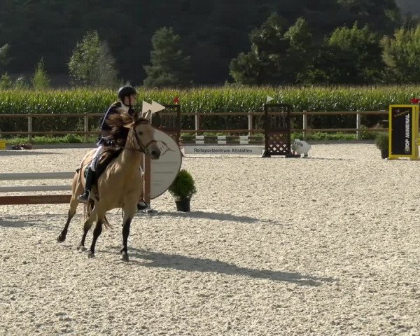 Reitturnier Felsberg 2021