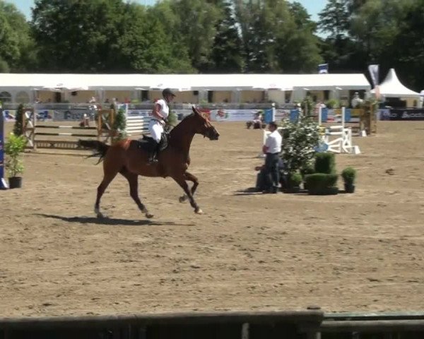 60. Lobbericher Reitsportfestival 01.-04.08.2013