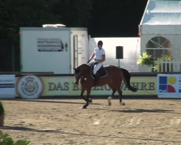 60. Lobbericher Reitsportfestival 01.-04.08.2013