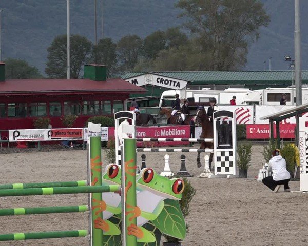 Reitturnier Giubiasco 2024