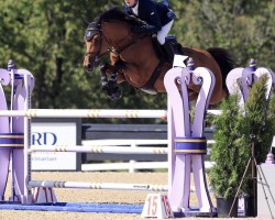 jumper Deisy Casanova Z (Zangersheide riding horse, 2016, from Diamant de Semilly)