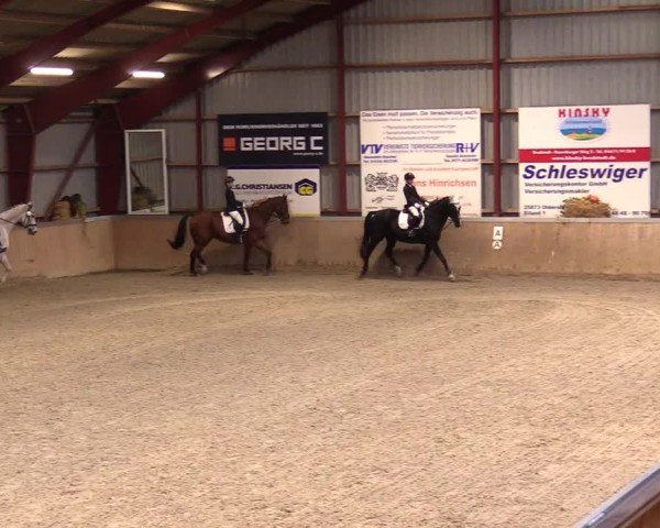 Reitturnier Behrendorf 2024