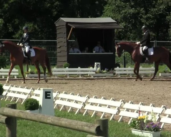 60. Lobbericher Reitsportfestival 01.-04.08.2013