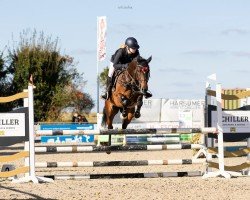 jumper Call me Mary Poppins (Hanoverian, 2020, from Comme le père)