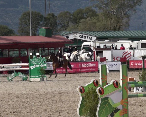Reitturnier Giubiasco 2024