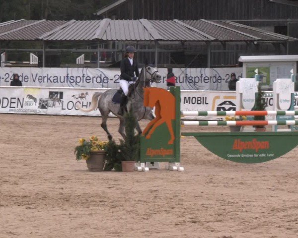 Reitturnier Ranshofen - Braunau am Inn 2024