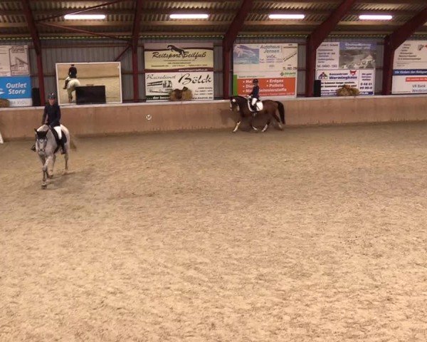 Reitturnier Behrendorf 2024