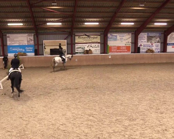 Reitturnier Behrendorf 2024