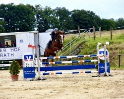 jumper Bornfee (KWPN (Royal Dutch Sporthorse), 2006, from Valentino Ddh)