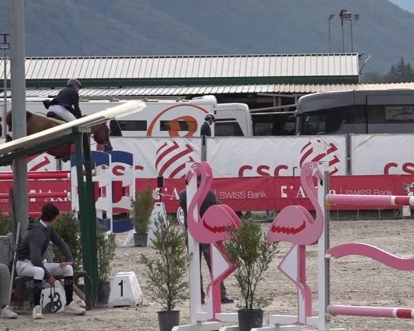 Reitturnier Giubiasco 2024