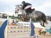 Springpferd Hedwig 12 (Oldenburger Springpferd, 2016, von Hickstead White)