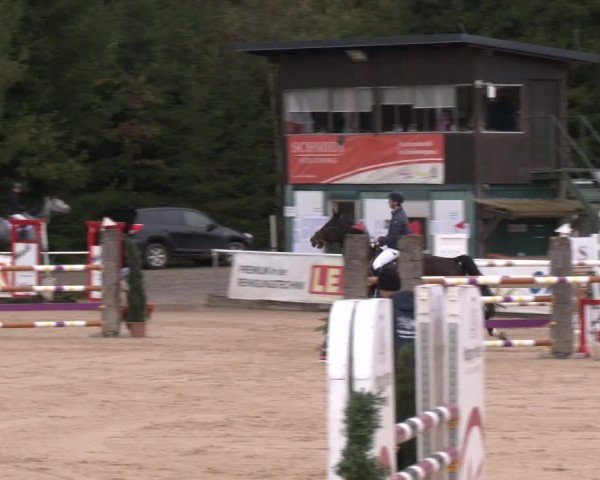 Reitturnier Ranshofen - Braunau am Inn 2024