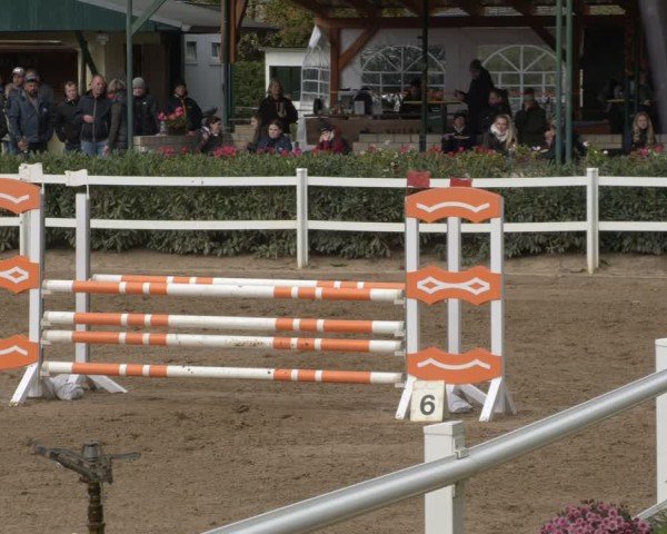 Reitturnier Teupitz 2024