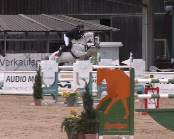 Reitturnier Ranshofen - Braunau am Inn 2024