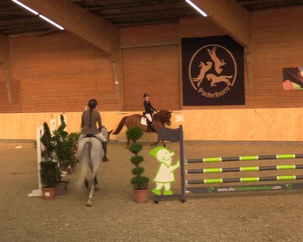 Reitturnier Paderborn 2021