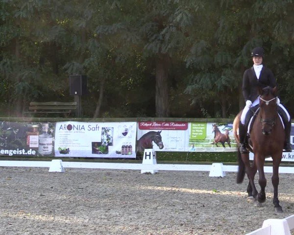 Reitturnier Ruhlsdorf 2024