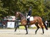 dressage horse Carioca 11 (Holsteiner, 2013, from Carrico)