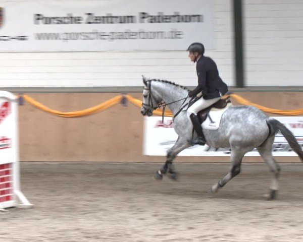 Reitturnier Salzkotten 2024