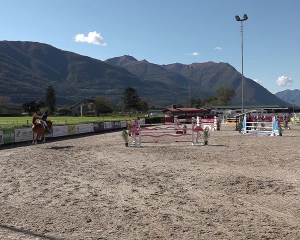Reitturnier Giubiasco 2024