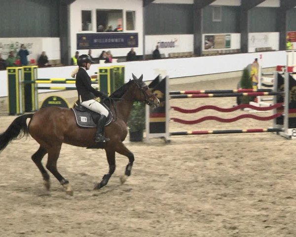 Reitturnier Karlsfeld/Obb. 2021