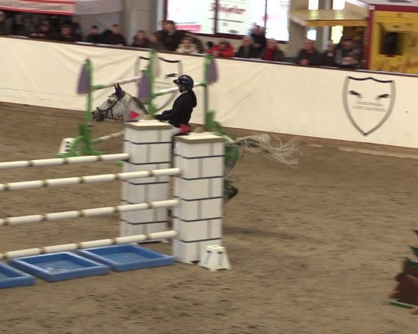 Reitturnier Prussendorf 2024