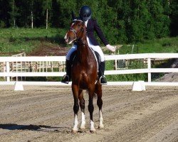 Springpferd Chanel (Litauer Warmblut, 2018, von Comilo)