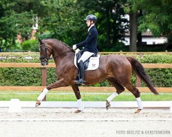 dressage horse Basima 11 (Hanoverian, 2019, from Bon Coeur)