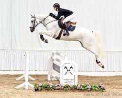 jumper Strothmann 4 (Hanoverian, 2017, from Stolzenberg)