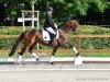 dressage horse Fair Lady 415 (Hanoverian, 2020, from Fürst Romancier)