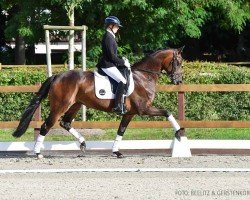 dressage horse Fair Lady 415 (Hanoverian, 2020, from Fürst Romancier)