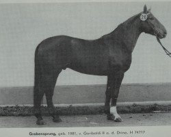 Deckhengst Grabensprung 3440 (Hannoveraner, 1981, von Garibaldi II)