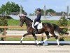 dressage horse Gaya H (Hanoverian, 2020, from Global Player OLD)