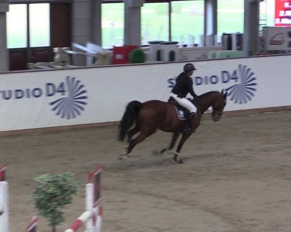 Reitturnier Prussendorf 2024