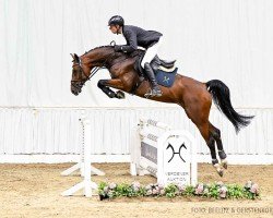 jumper Chacgralou (Hanoverian, 2020, from Chacgrano)