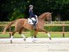 dressage horse Santorin 41 (Hanoverian, 2018, from Secret)