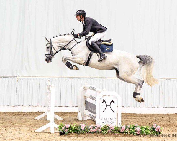 jumper Greyta JH (Hanoverian, 2019, from Grey Top)