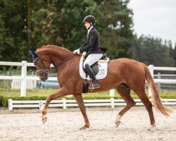 dressage horse Waitana 8 (Deutsches Sportpferd, 2019, from Fürst Romancier)