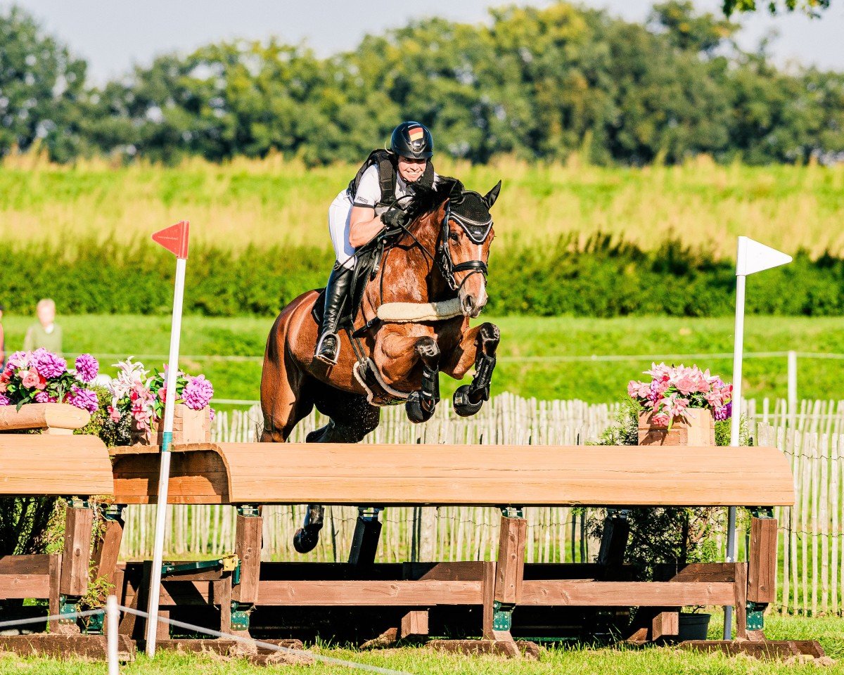jumper Viva L'Amour (Hanoverian, 2017, from Valentino)