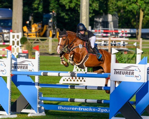 Zuchtstute Petit Dechantee (Deutsches Reitpony, 2011, von FS Chambertin)