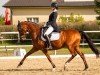 dressage horse Peron's Clover B (Austrian Warmblood, 2011, from Moosbachhof's Peron)