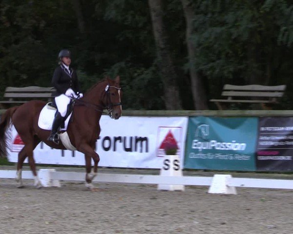 Reitturnier Ruhlsdorf 2024