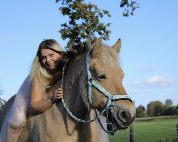 Pferd Mona (Fjordpferd, 2012, von Dalbyn)